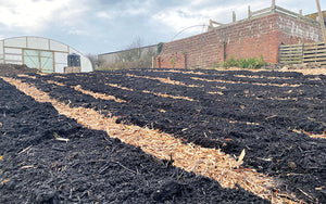 Eversfield Organic Market Garden, Devon