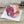 Load image into Gallery viewer, Lamb Shoulder Boned &amp; Rolled
